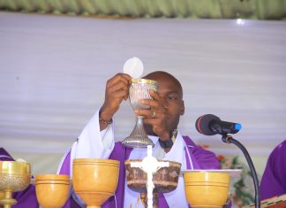 HOMÉLIE DU XXXIIIè DIMANCHE DU TEMPS ORDINAIRE/C